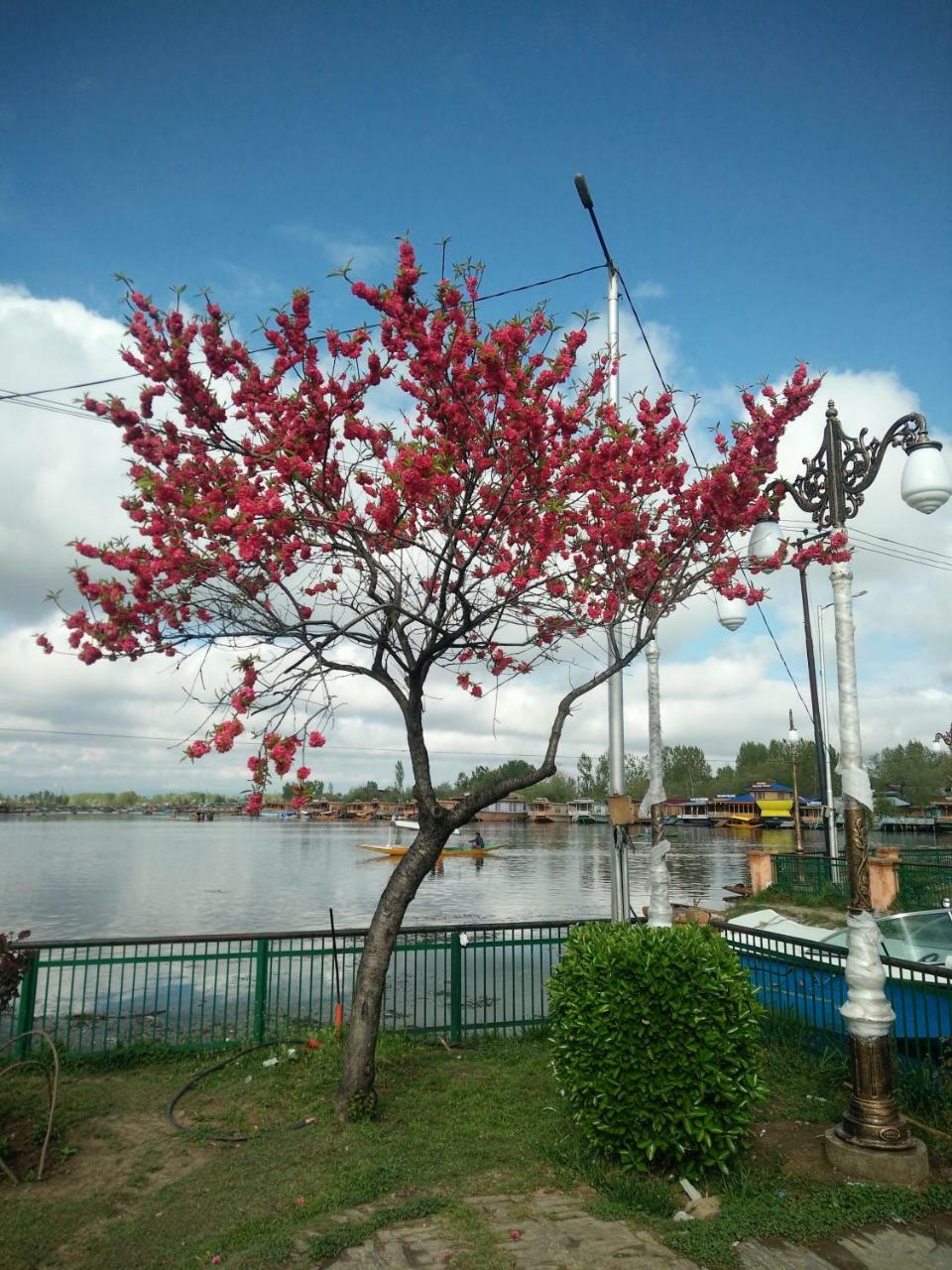 Houseboat Young Snow View Front Line Dal 3*